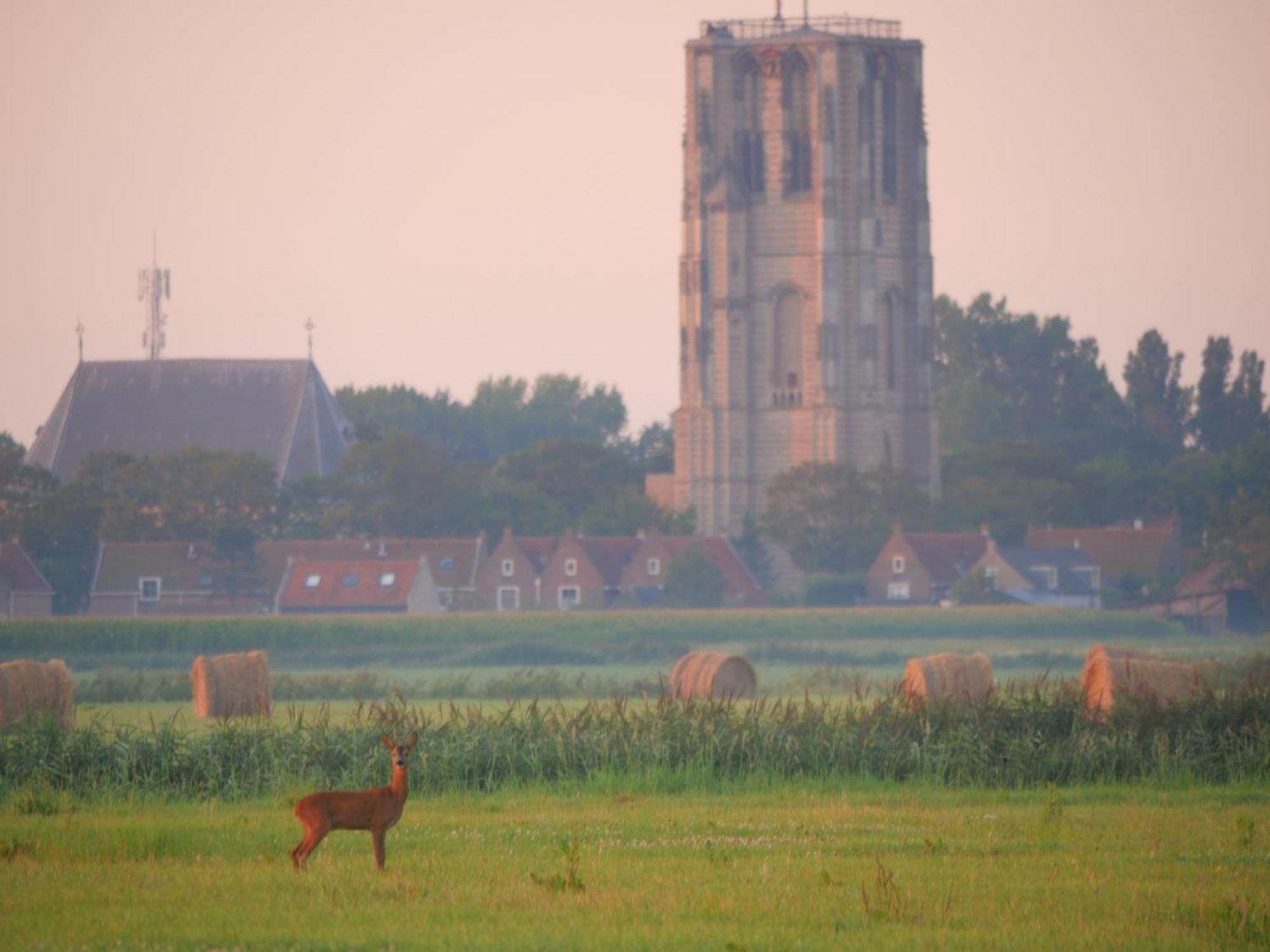 De Dierenweiden Goedereede Quarto foto